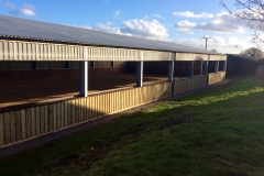 Equine Construction - Indoor Arena 4